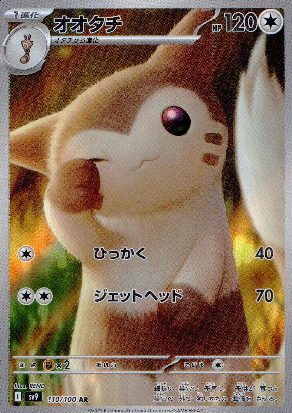 110/100/SV9/B オオタチ