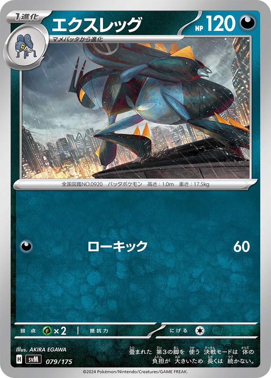 079/175/SVM/B エクスレッグ