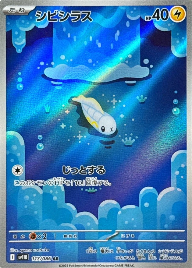 シビシラス - AR : SV11B | 117/086