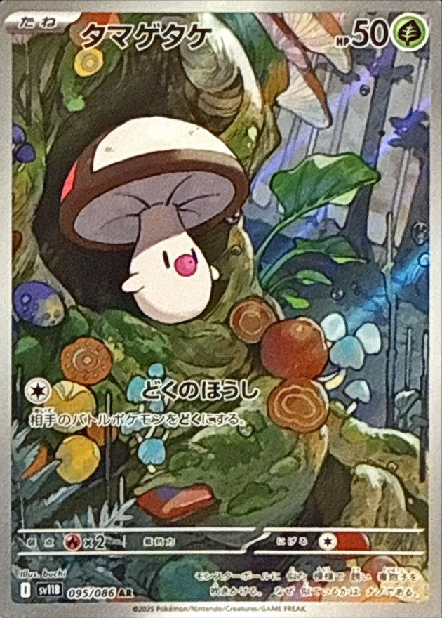 タマゲタケ - AR : SV11B | 095/086