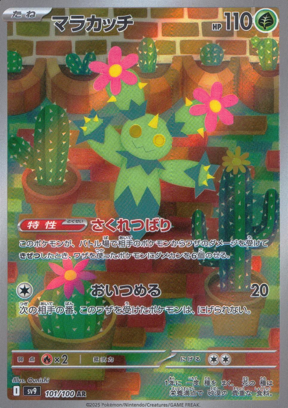 101/100/SV9/B マラカッチ