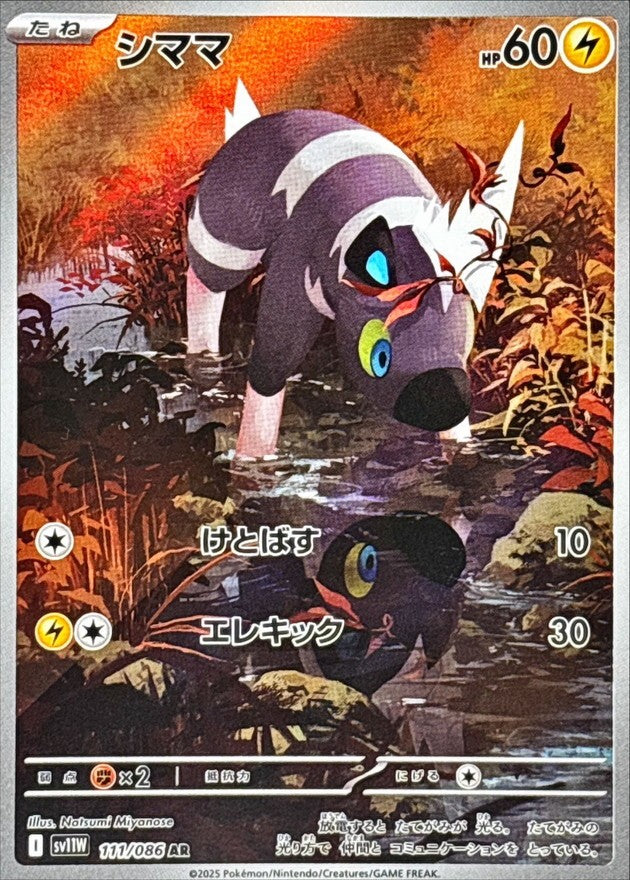 シママ - AR : SV11W | 111/086