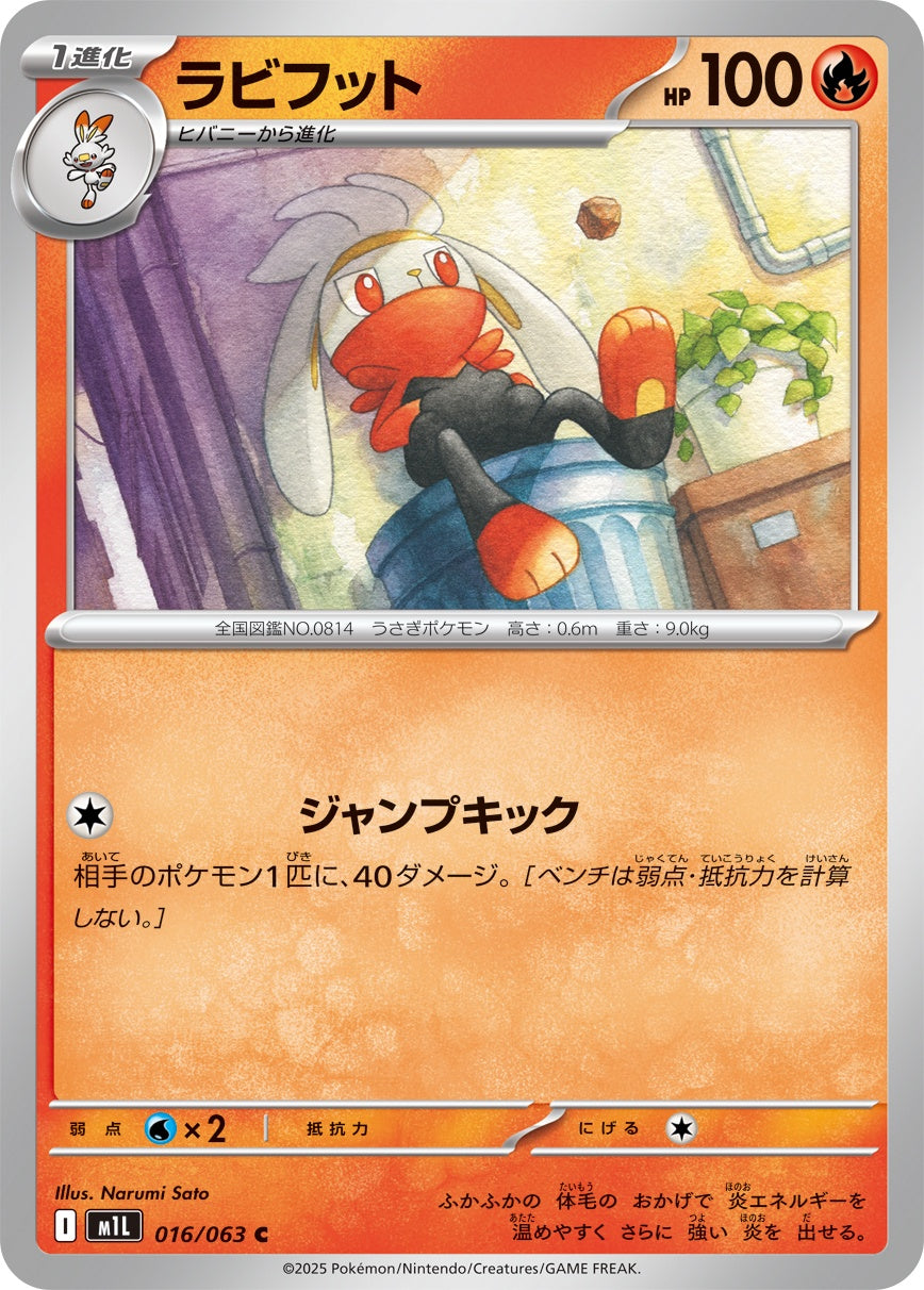 ラビフット - C : M1L | 016/063