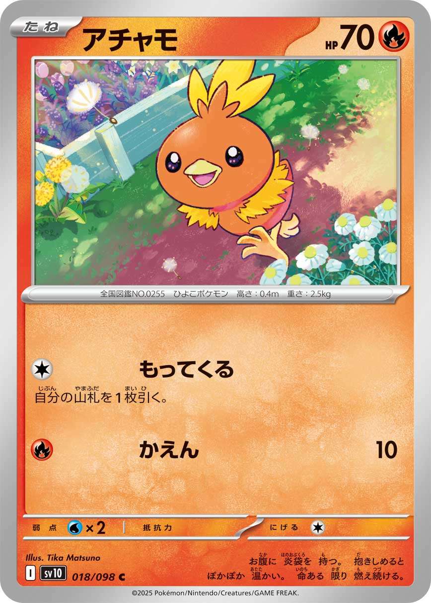 シャイニートレジャーex 16.67g 高重量パック ポケモンカードの