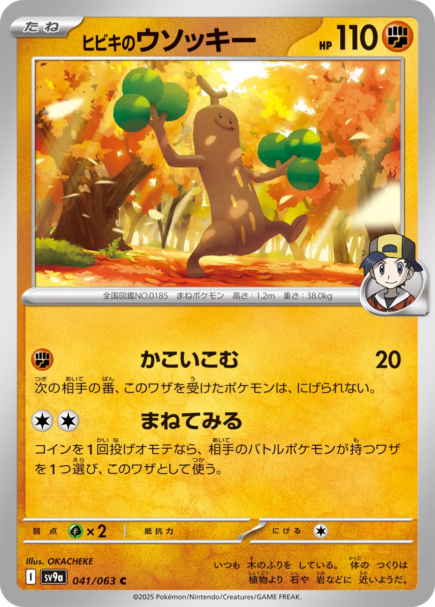 041/063/SV9A/B ヒビキのウソッキー