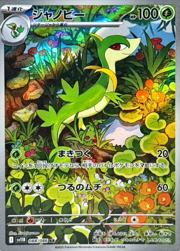 ジャノビー - AR : SV11B | 088/086