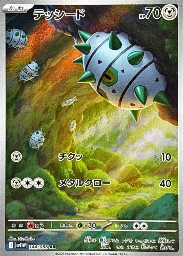 テッシード - AR : SV11W | 144/086