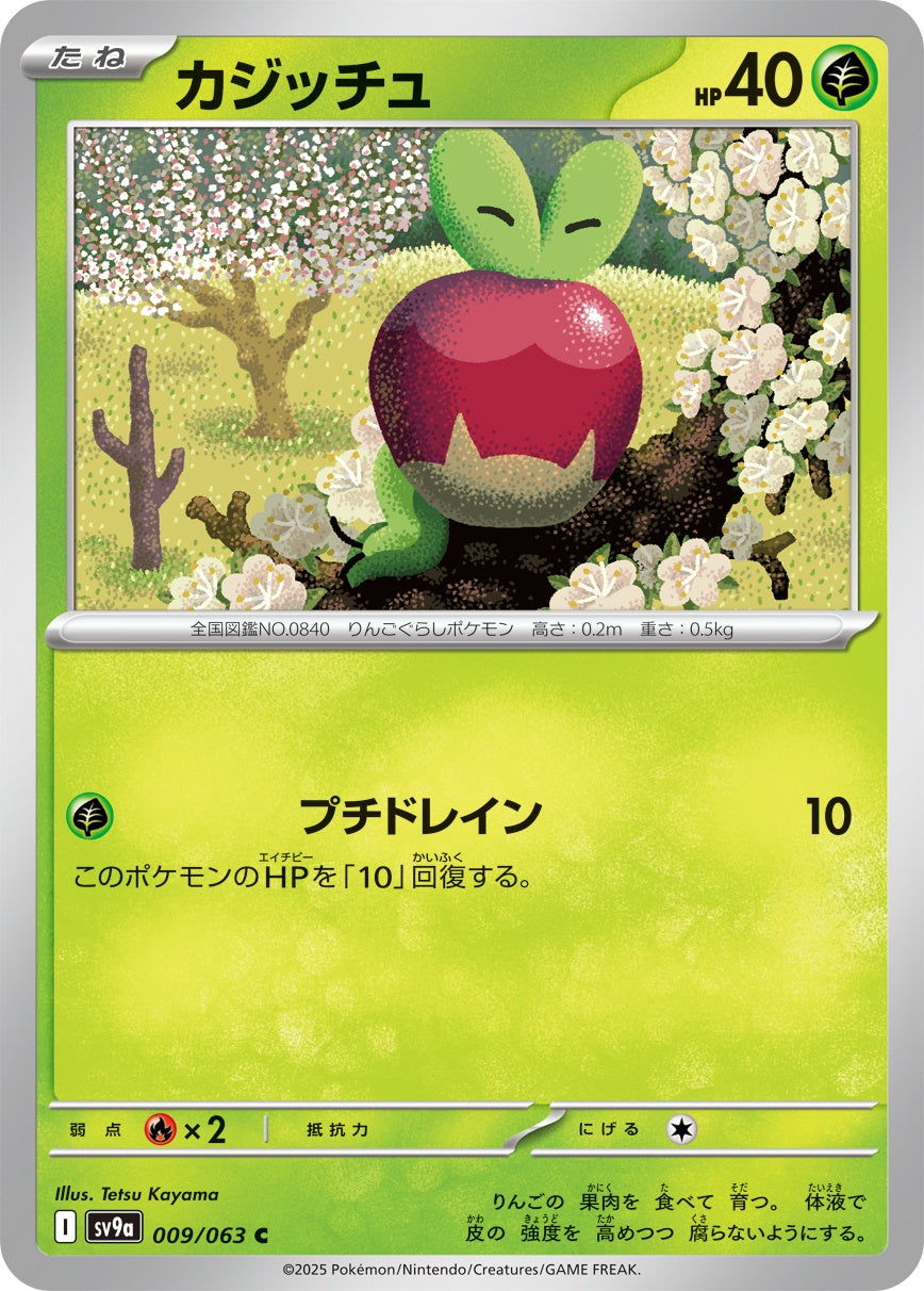 009/063/SV9A/B カジッチュ